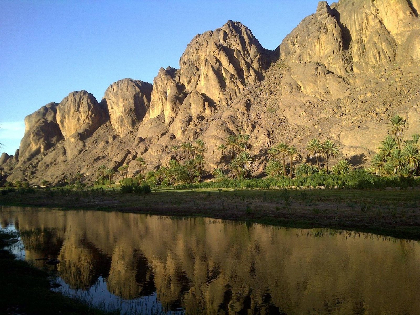 Palmeras reflejadas en un oasis tranquilo de Marruecos